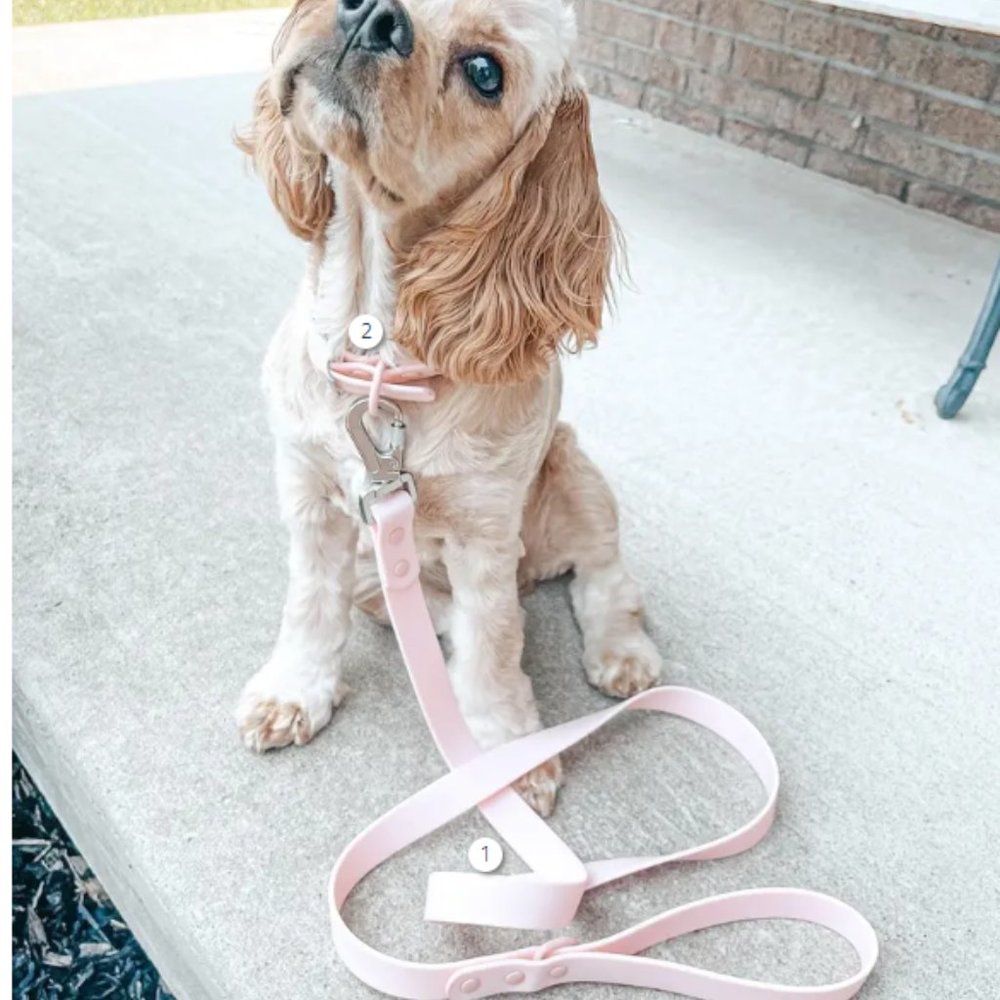 Lucy & Co. PVC Leash, Collar and Poop Bag SET - pink color